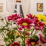 Côté Ensoleillé Appartement