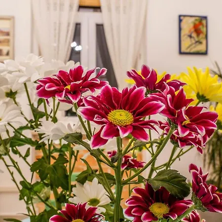 Cote Ensoleille Apartment