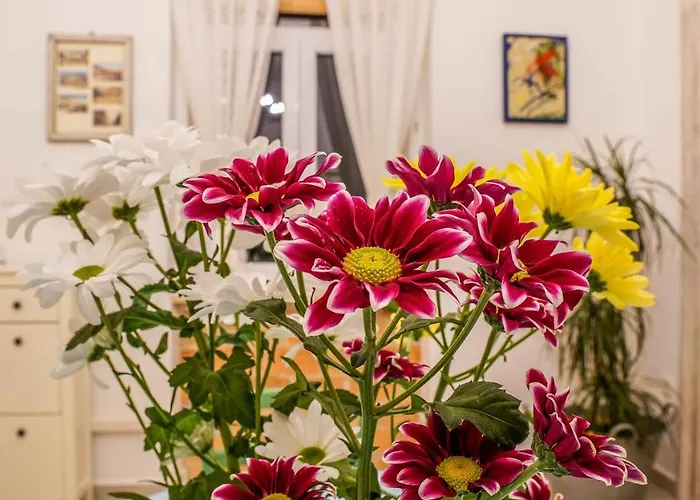 Cote Ensoleille Apartman